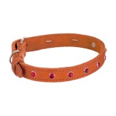 Ошейник кожаный (СТРАЗЫ) 26 - 35 см, 1,5 см, ЗООНИК