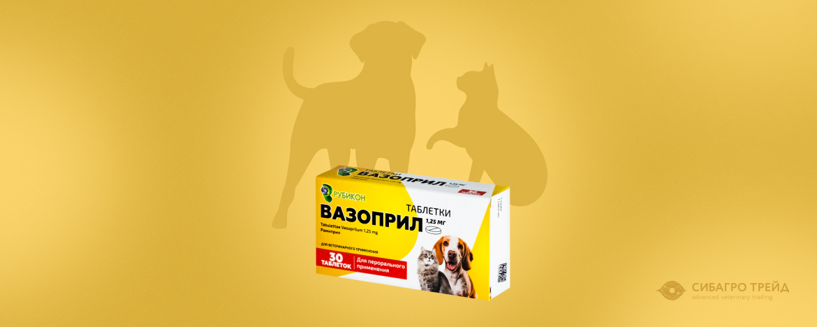 Новинка! Вазоприл - гипотензивный препарат для кошек и собак Новинка! Вазоприл - гипотензивный препарат для кошек и собак
