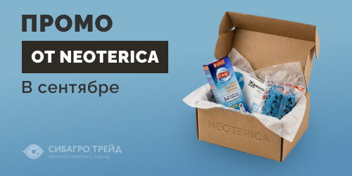 Промо от NEOTERICA на сентябрь