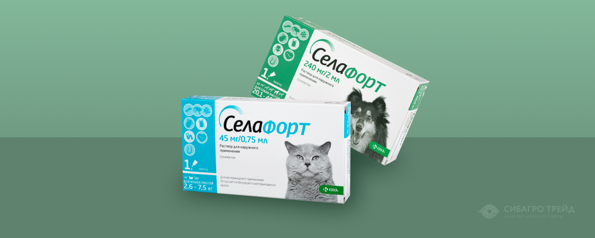 Акция! Скидка 20% на ТМ Селафорт Акция! Скидка 20% на ТМ Селафорт
