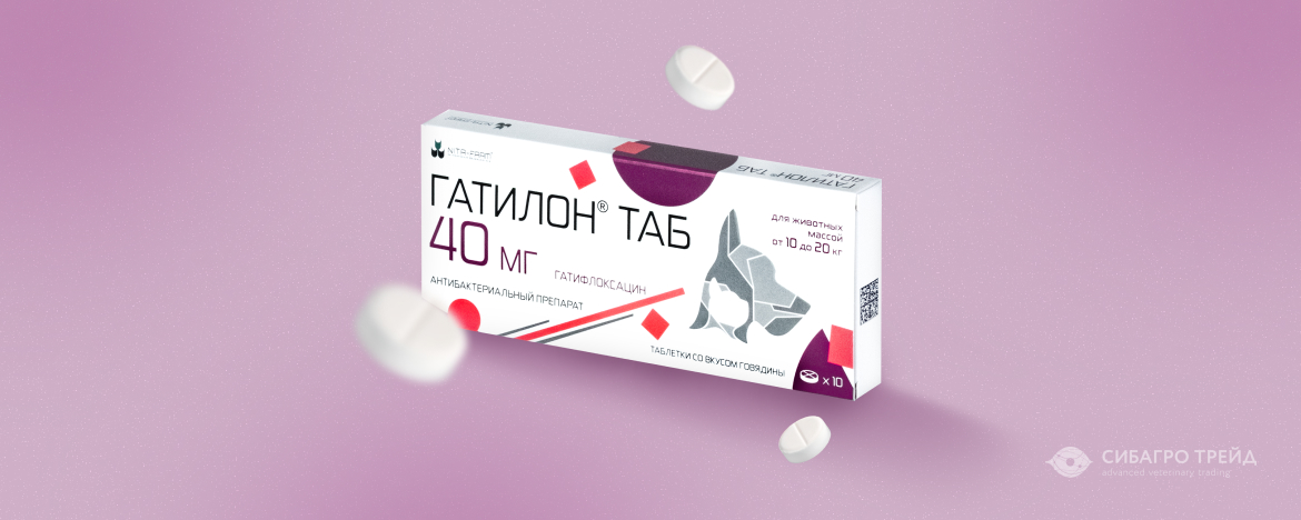 Новинка! Гатилон ТАБ - гатифлоксацин в таблетках Новинка! Гатилон ТАБ - гатифлоксацин в таблетках