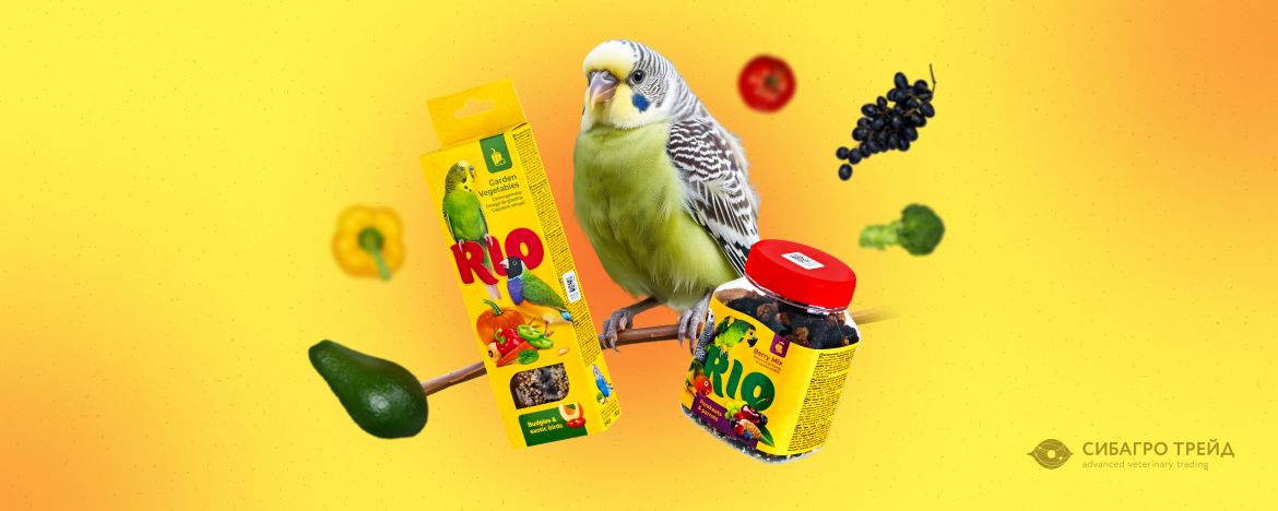 Новинки! Rio лакомства для птиц Новинки! Rio лакомства для птиц