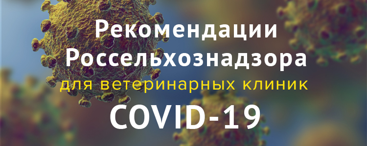 Рекомендации для ветеринарных клиник, работающих с животными-компаньонами на время вспышки вируса COVID-19 Рекомендации для ветеринарных клиник, работающих с животными-компаньонами на время вспышки вируса COVID-19