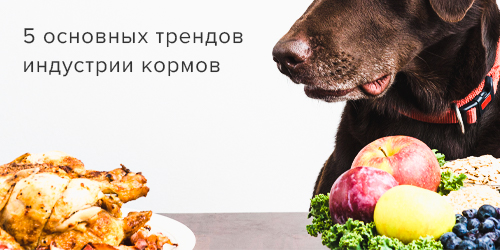 5 основных трендов индустрии кормов.