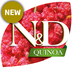 4quinoa.png