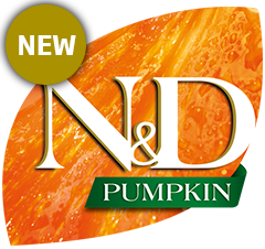 3pumpkin.png