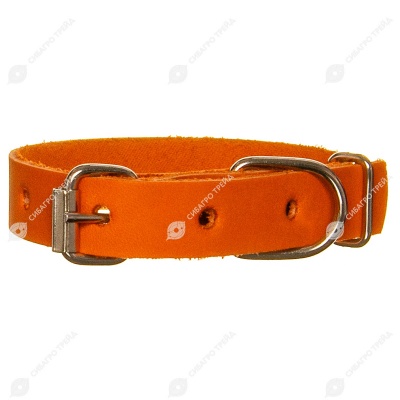 Ошейник кожаный 15(1) короткий, цветной, ZOOМИР