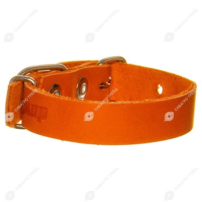 Ошейник кожаный 15(1) короткий, цветной, ZOOМИР